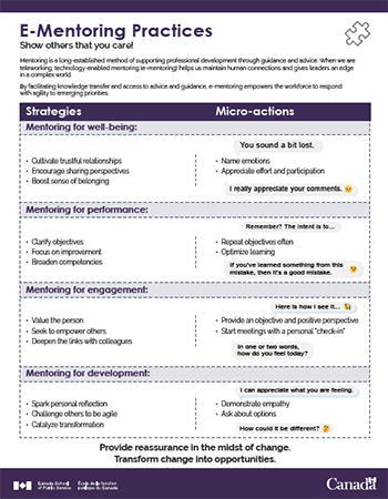 E-Mentoring Practices