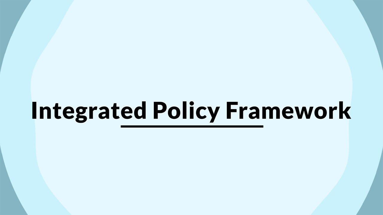 The Integrated Policy Framework (FON1-V17)