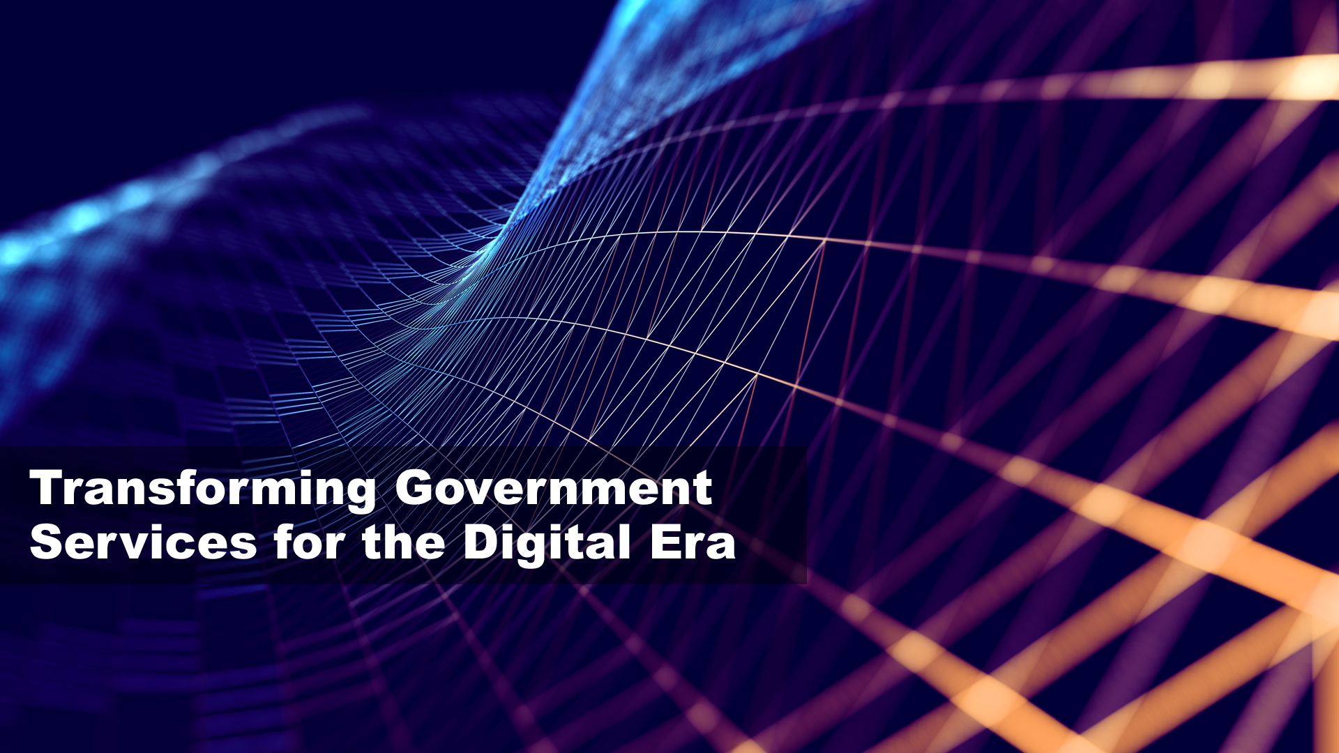 Transforming Government Services for the Digital Era: Barriers to Digital Transformation (DDN2-V52)
